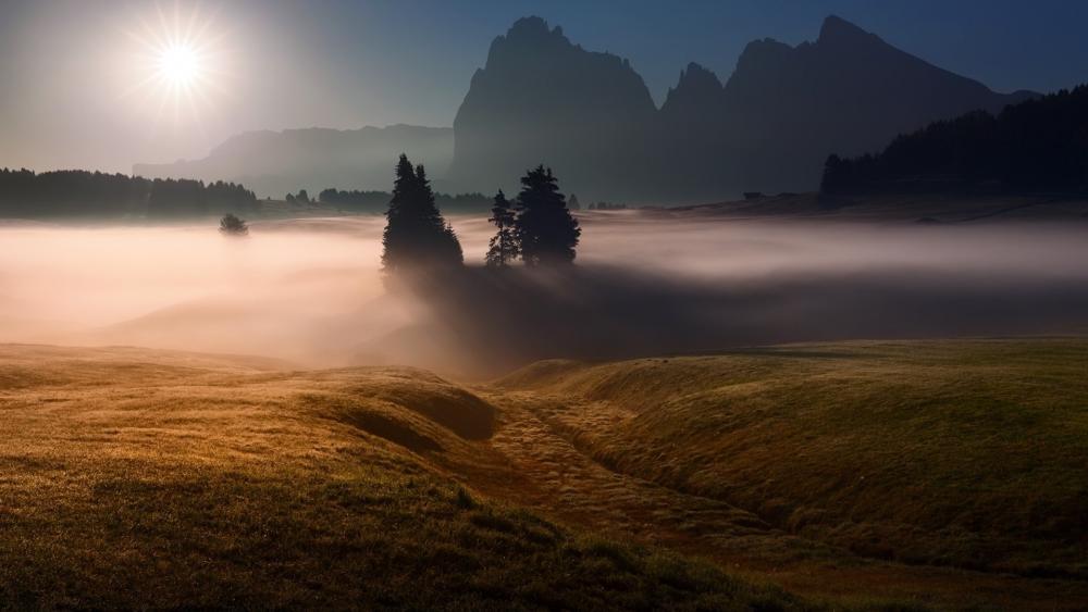 Serene Misty Landscape at Dawn wallpaper