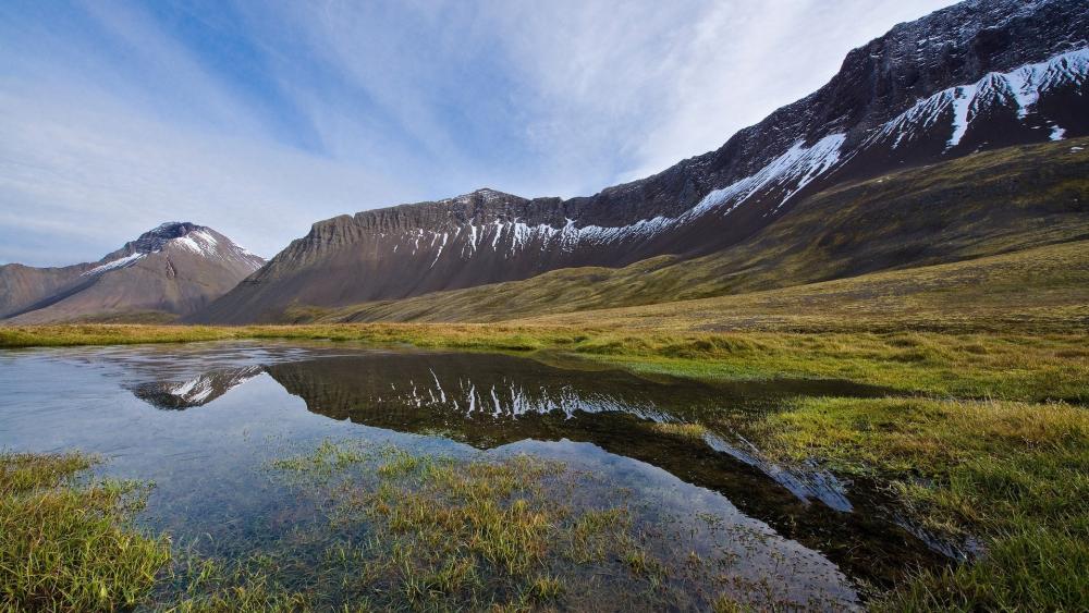Majestic Reflections of Nature's Beauty wallpaper