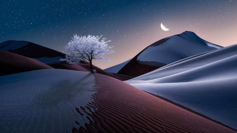 Desert Night Bloom Under Crescent Moon wallpaper