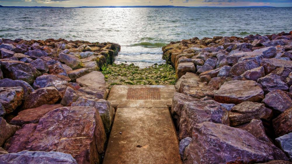 Tranquil Pathway to the Water's Edge wallpaper