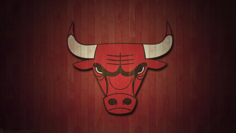 Chicago Bulls Emblem in Stylish 4K wallpaper