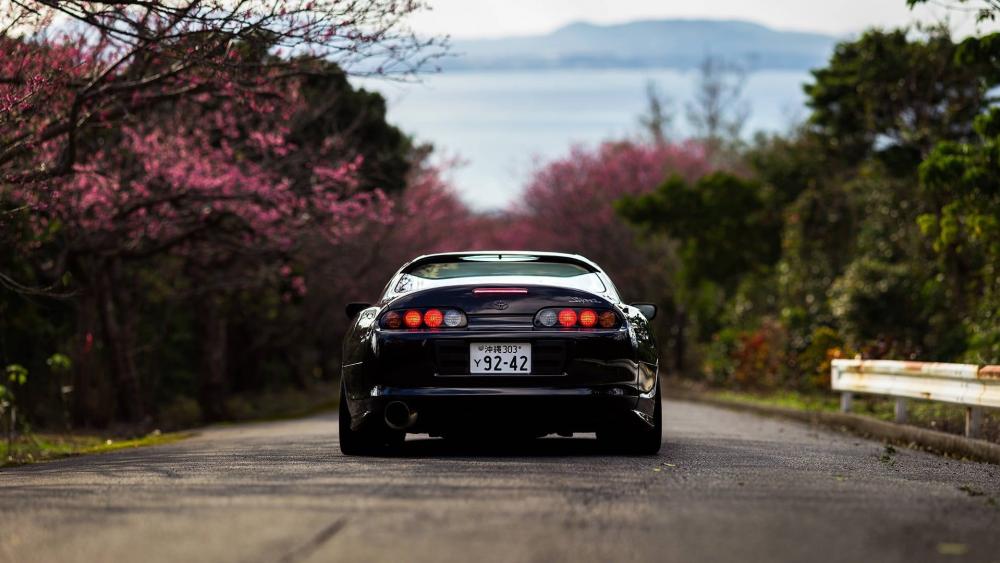 Drive Through Nature's Beauty with a Toyota Supra wallpaper