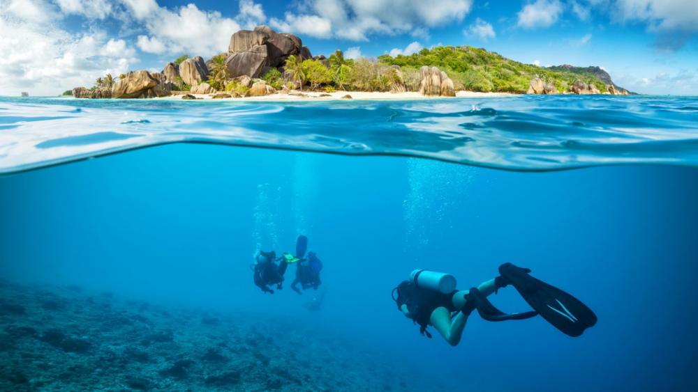 Seychelles scuba diving wallpaper