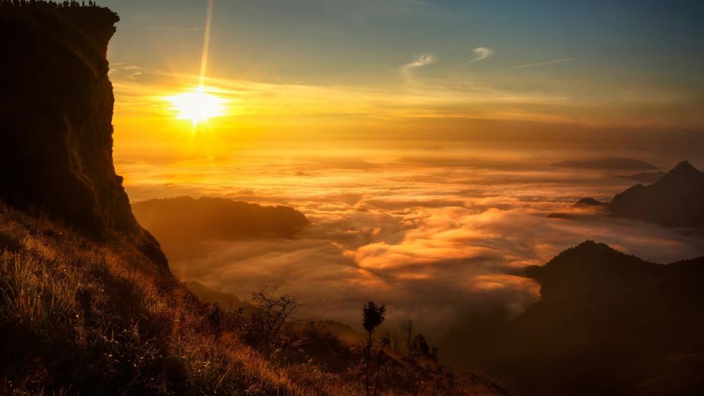Golden Horizon Over the Misty Valley wallpaper