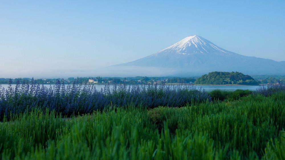 Lake Kawaguchi and Mount Fuji wallpaper