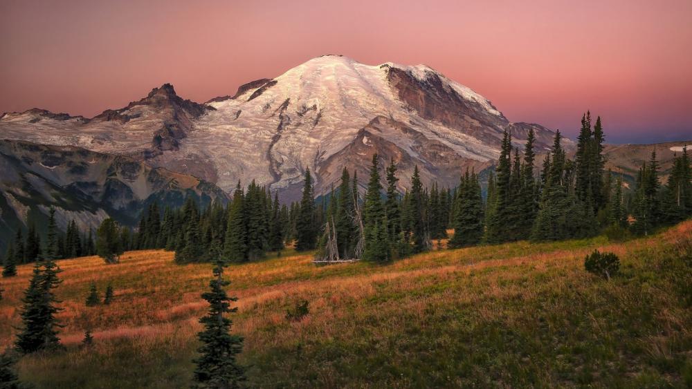 Pink sky and Mount Rainier wallpaper