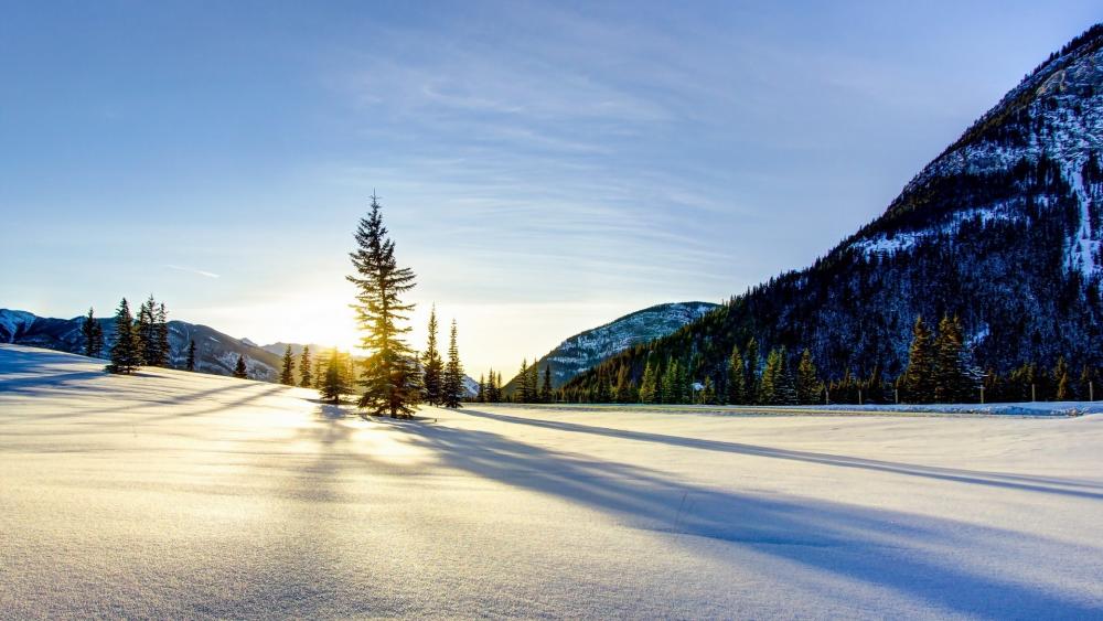 Serene Winter Landscape with Golden Sunrise wallpaper