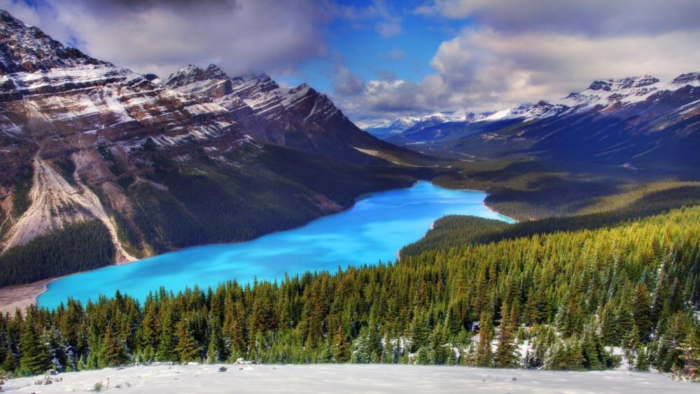 Peyto Lake wallpaper