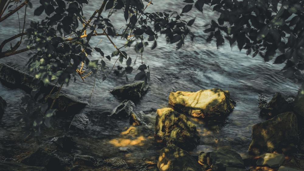 Tranquil Waters and Shadows in Nature wallpaper