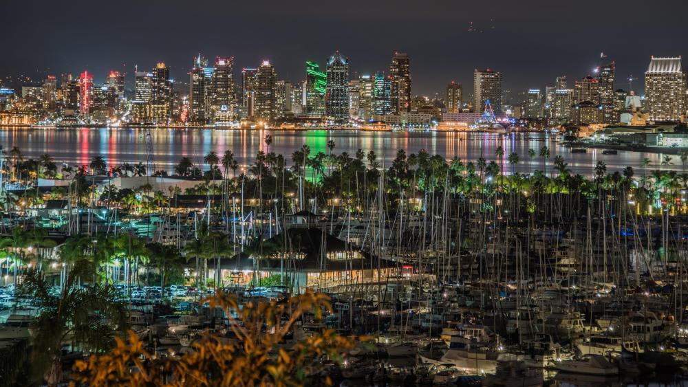 Panorama of the San Diego Skyline at Night wallpaper