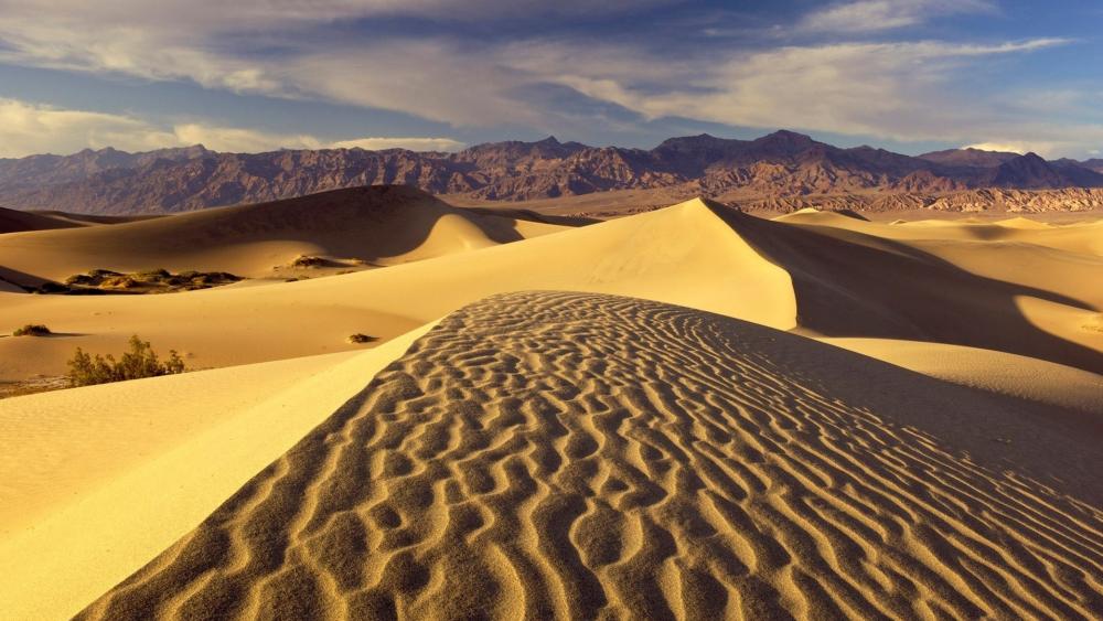 Mesquite Flat Sand Dunes, Death Valley wallpaper
