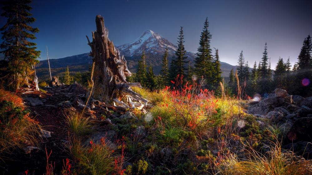 Majestic Mountain Peak Amidst Lush Wilderness wallpaper