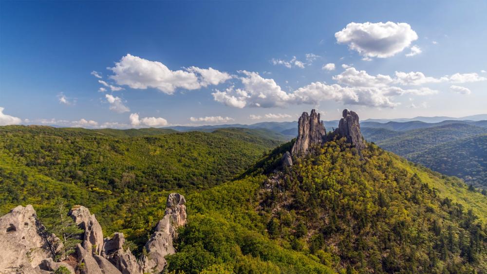 Sikhote-Alin Nature Reserve wallpaper