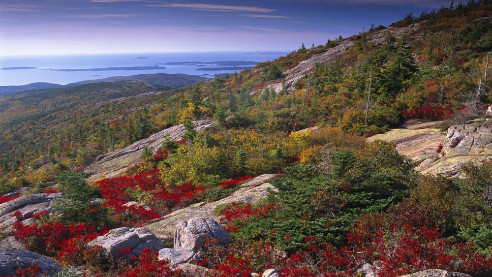 Fall in Acadia National Park wallpaper