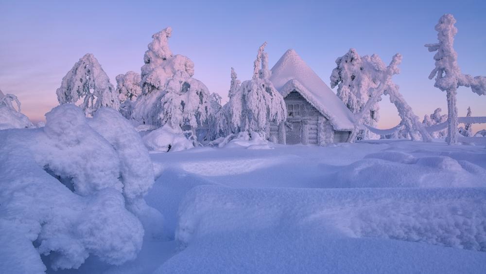 Lapland in winter wallpaper