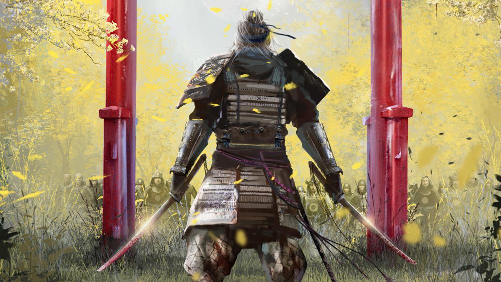 Lone Samurai Amidst Yellow Blossoms wallpaper