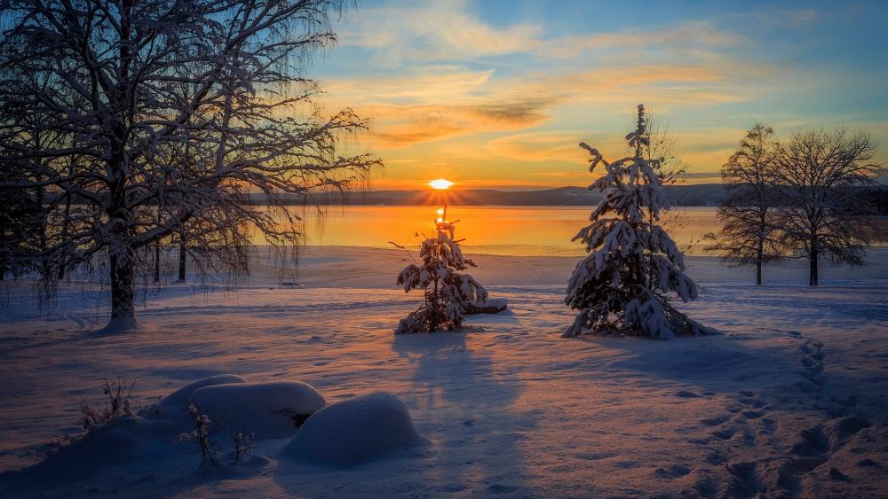 Winter Sunset Serenity by the Snowy Lake wallpaper