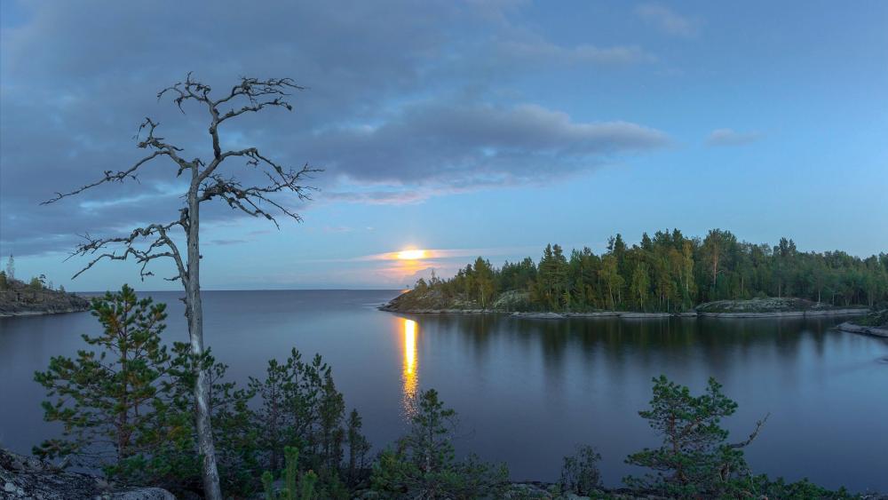 Scenic View of Ladoga Skerries in Karelia, Russia wallpaper