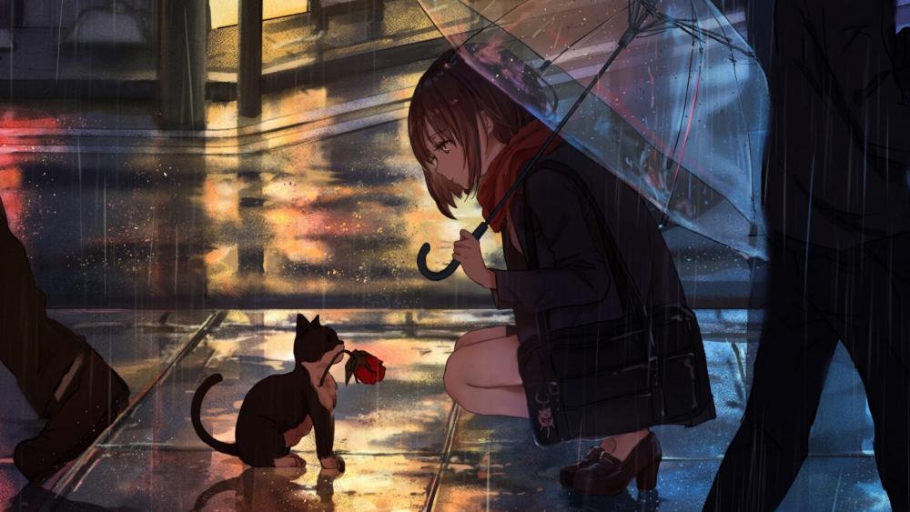 Rainy Night Encounter With a Curious Cat wallpaper