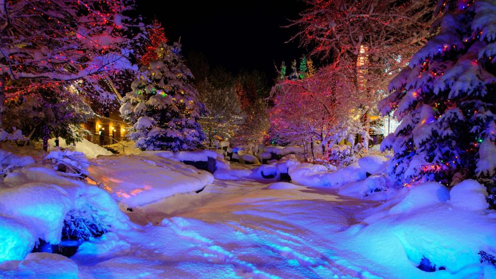 Magical Winter Night Illumination wallpaper