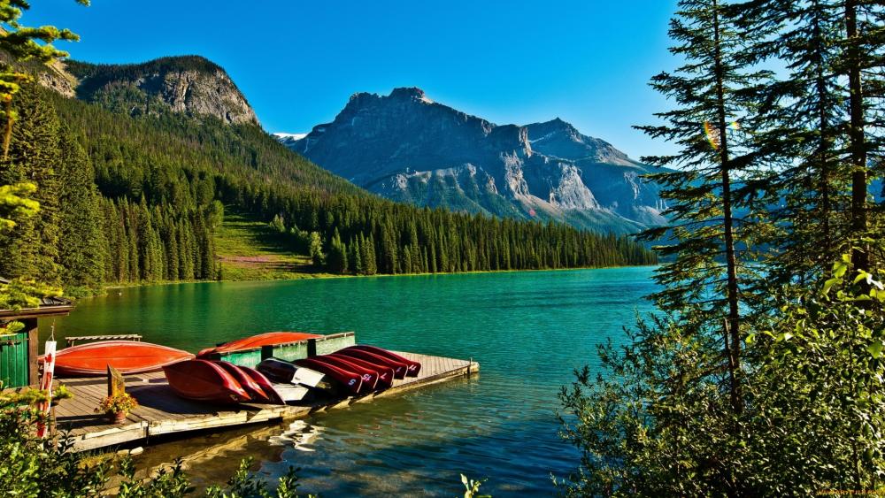 Emerald Lake Lake in British Columbia, Canada wallpaper