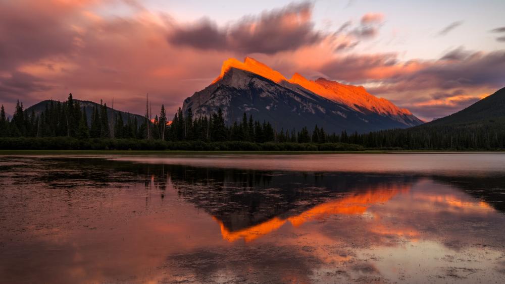 Mount Rundle in Vermilion Lakes reflection wallpaper