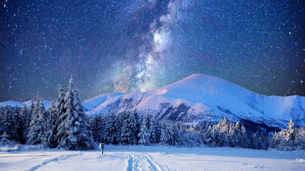 Starry Winter Night's Embrace wallpaper
