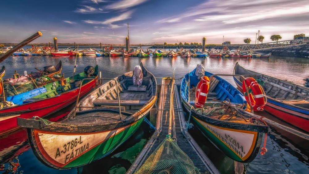 Colorful boats of the Aveiro Lagoon wallpaper