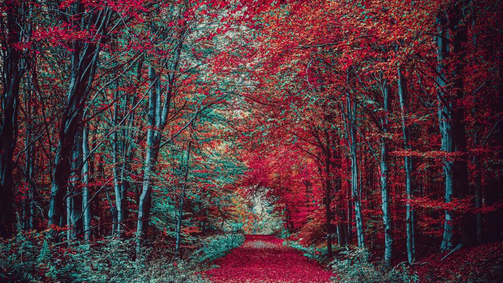 Red Forest Pathway in Autumn Splendor wallpaper