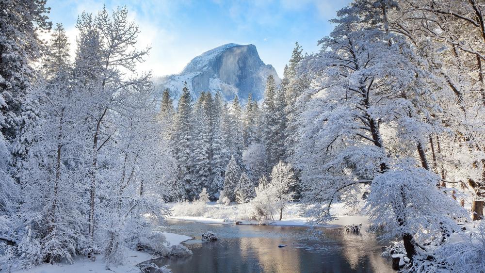 Half Dome from Merced River wallpaper