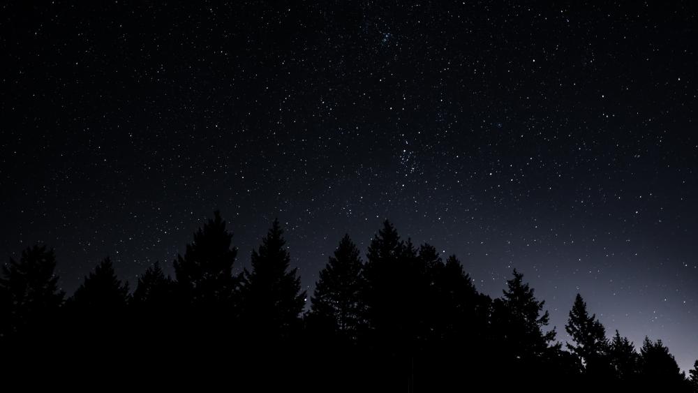 Ethereal Night Sky Over Silhouetted Forest wallpaper