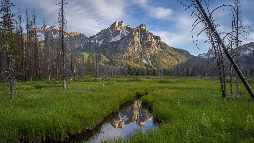 Grand Teton National Park wallpaper