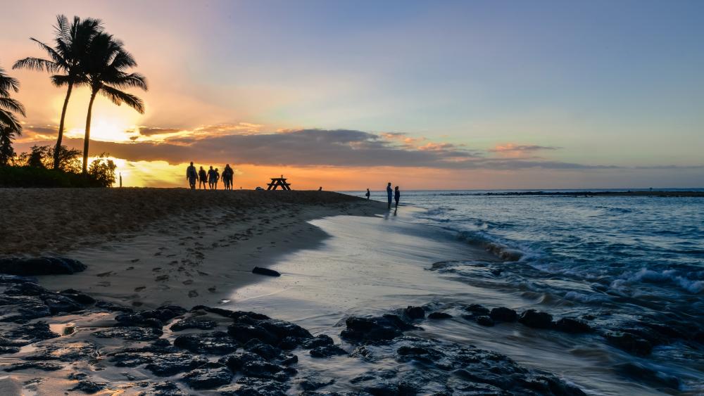 Sunset on Serene Shoreline wallpaper