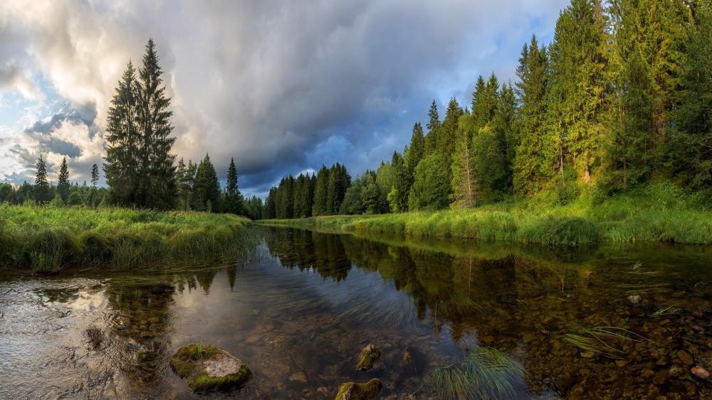 Serene River Amidst Lush Forests in Nature's Embrace wallpaper