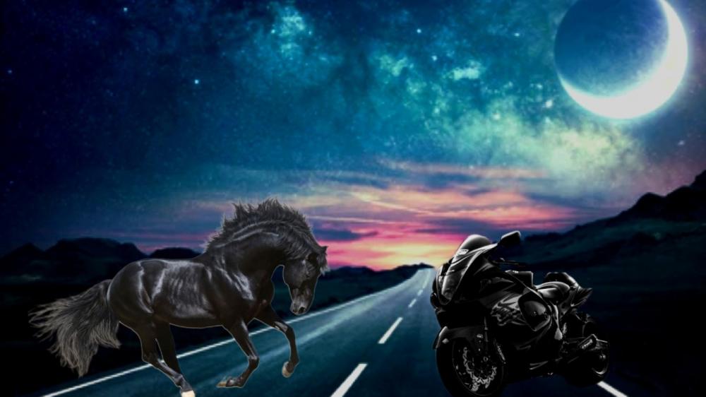 Black Stallion. Retro Racer Background wallpaper