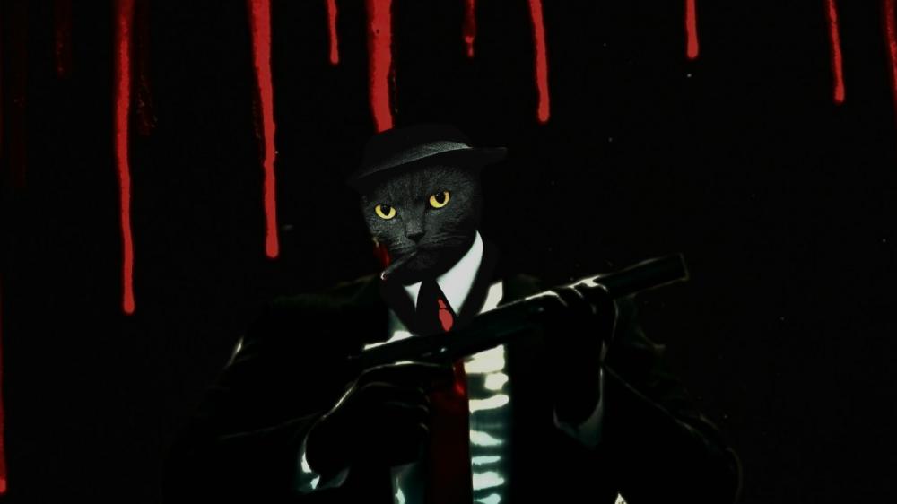 HITMAN Mafia Cat wallpaper