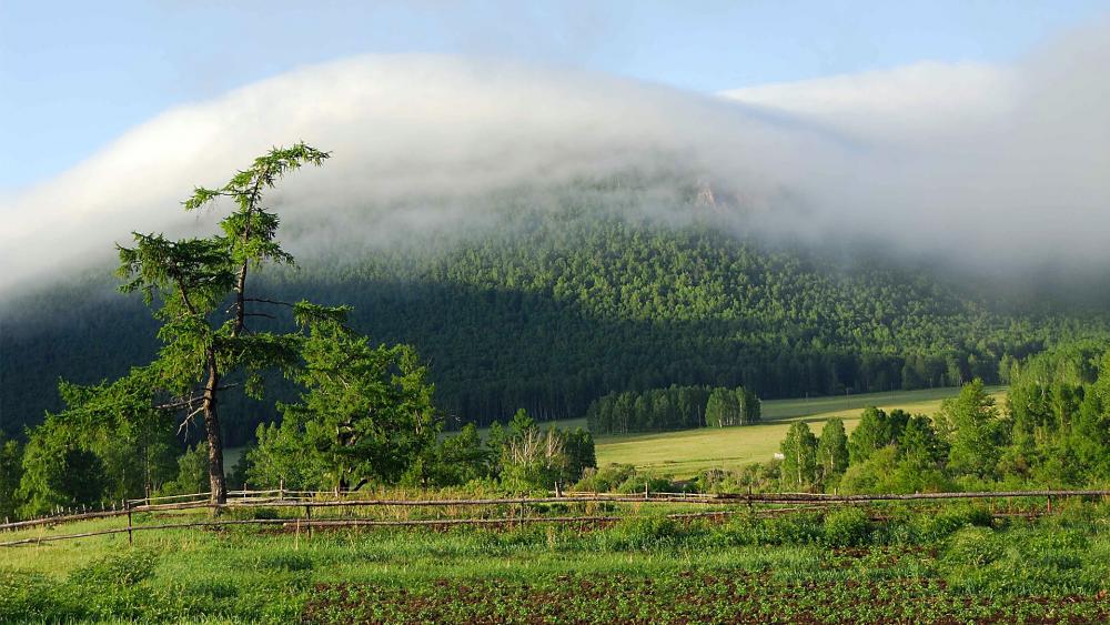 Green mountain in the cloud wallpaper