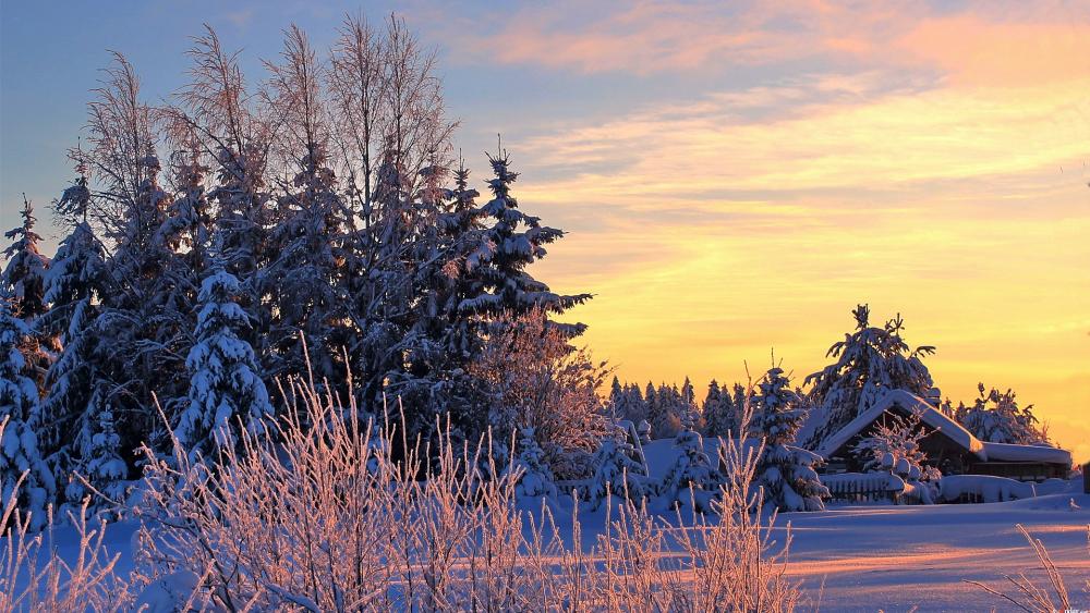 Karelia winter wallpaper