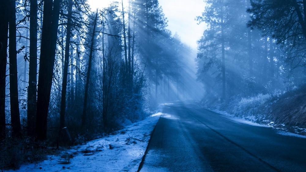 Mystical Winter Road Shrouded in Blue wallpaper