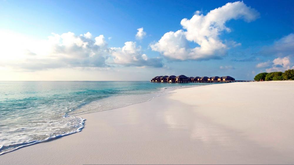 White sandy beach in Maldives wallpaper