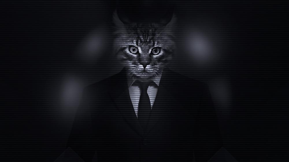 The Executive Cat in Monochrome wallpaper