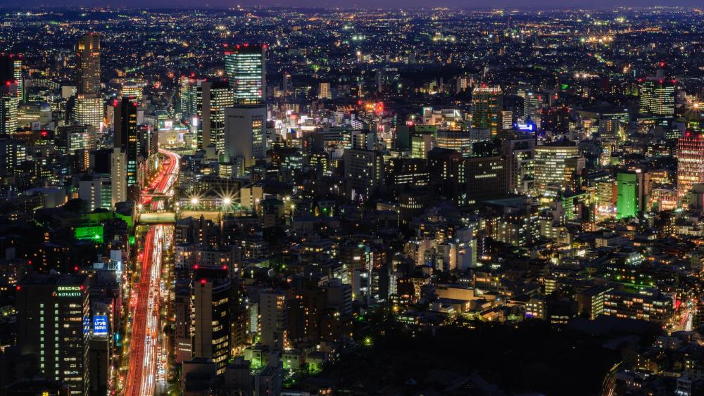 Tokyo Nighttime Cityscape wallpaper