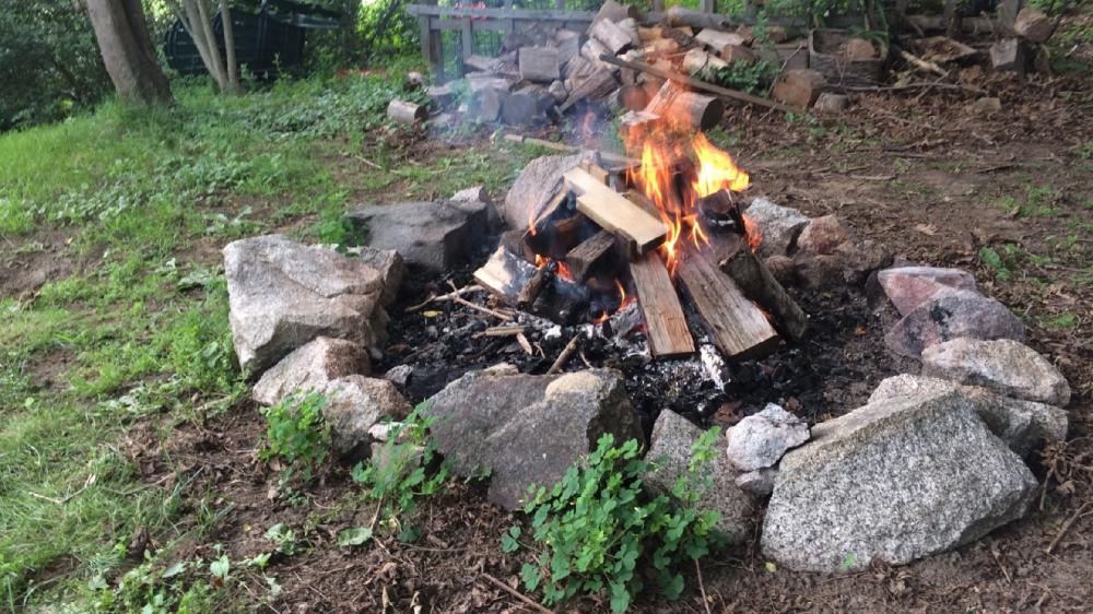 Cozy Campfire in a Natural Setting wallpaper