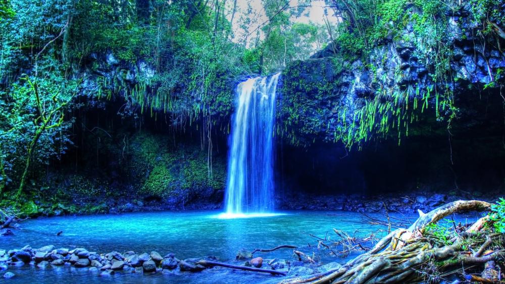 Twin Falls Maui Waterfall wallpaper