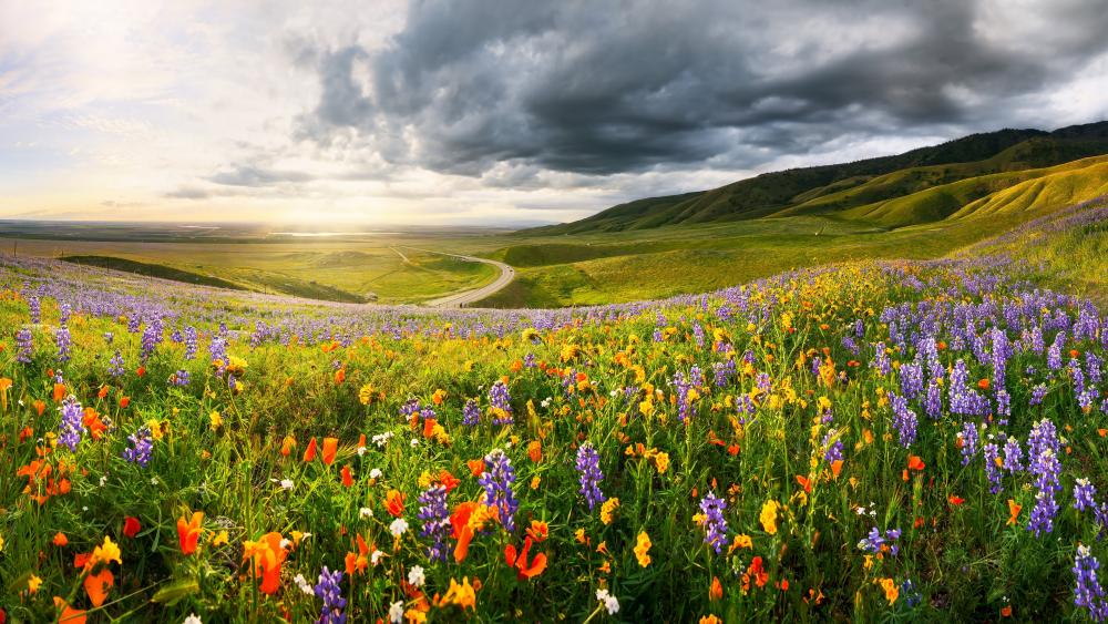 Spring Blossom in Verdant Meadow wallpaper