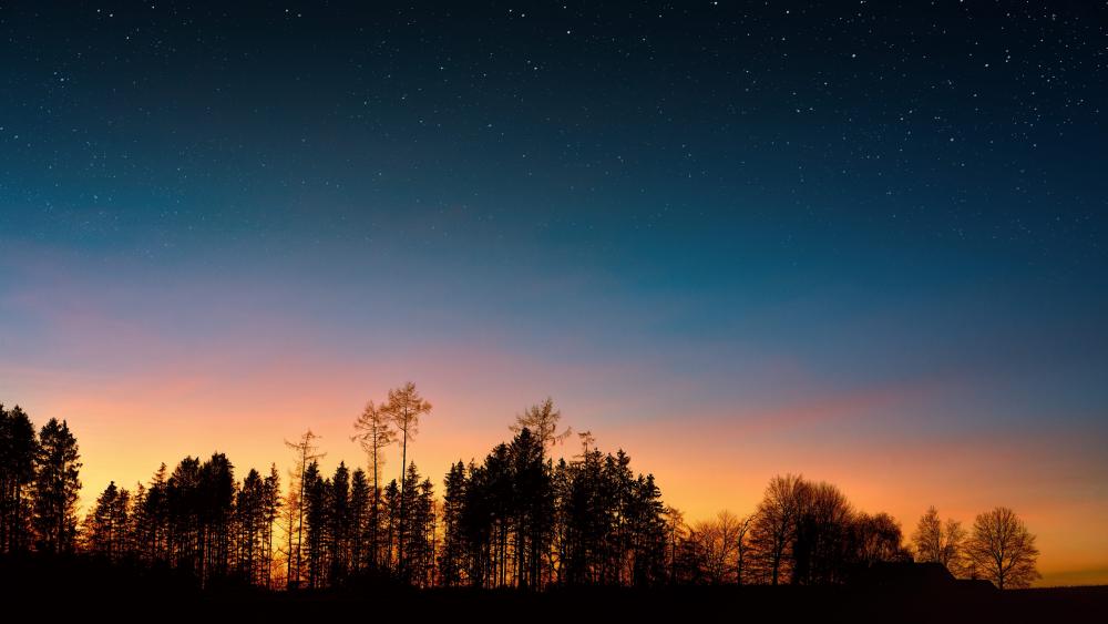 Starry Twilight Over the Forest wallpaper