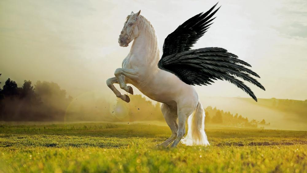 Majestic Pegasus in Golden Sunrise wallpaper