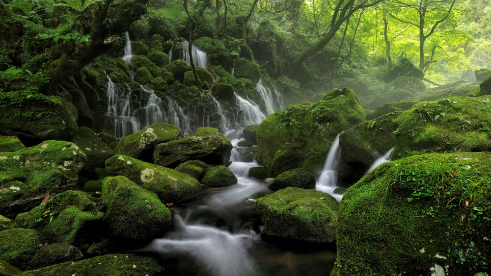 Moss-Covered Stones beneath a Gentle Waterfall wallpaper