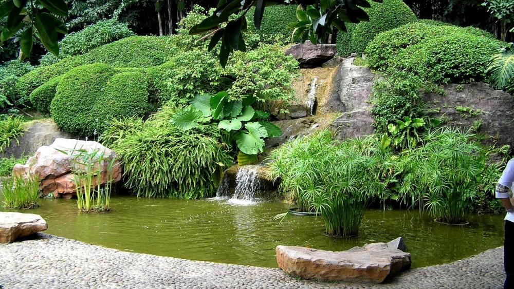 Small pond in Guangzhou wallpaper