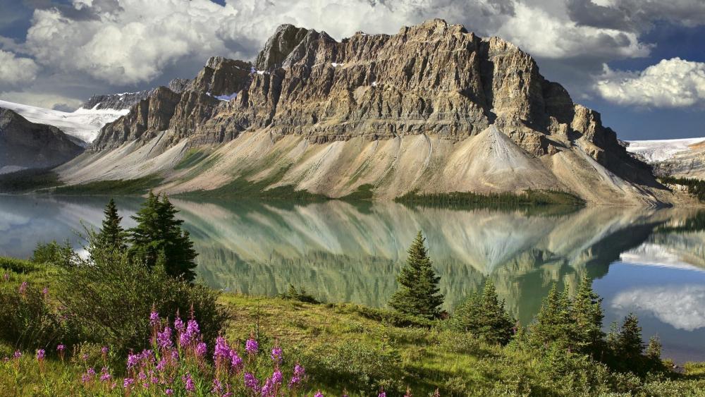 Crowfoot Mountain and Bow Lake (Banff National Park) wallpaper